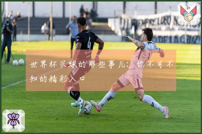 世界杯买球的那些事儿：你不可不知的精彩入口