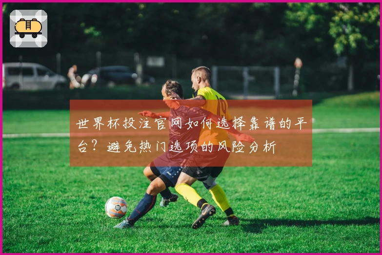 世界杯投注官网如何选择靠谱的平台？避免热门选项的风险分析