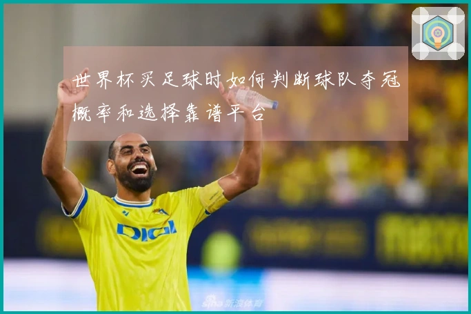 世界杯买足球时如何判断球队夺冠概率和选择靠谱平台