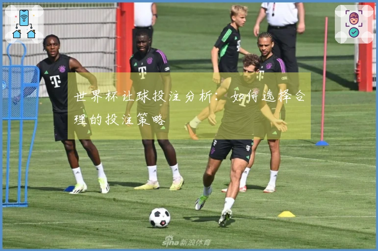 世界杯让球投注分析：如何选择合理的投注策略