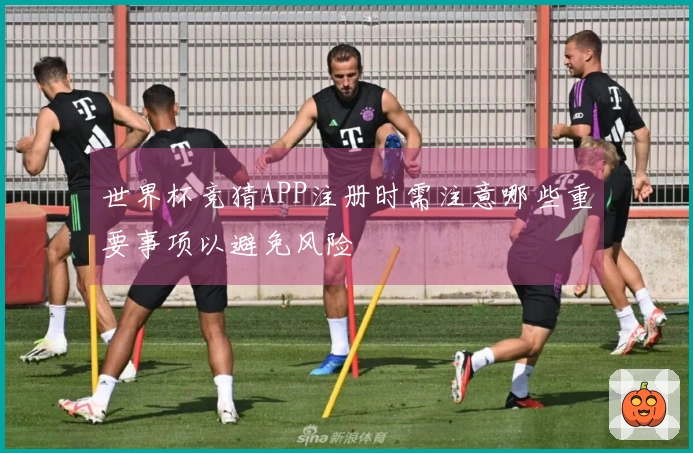 世界杯竞猜APP注册时需注意哪些重要事项以避免风险